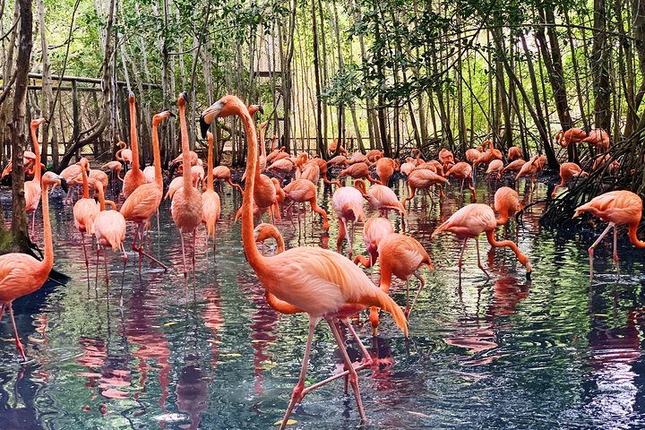 Aviario Nacional de Colombia